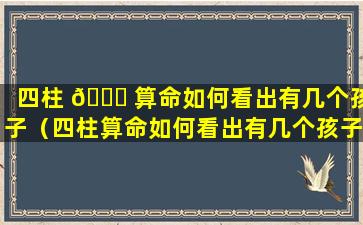 四柱 🐘 算命如何看出有几个孩子（四柱算命如何看出有几个孩子 🕸 呢）